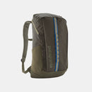 Patagonia Black Hole 25L Backpack Basin Green