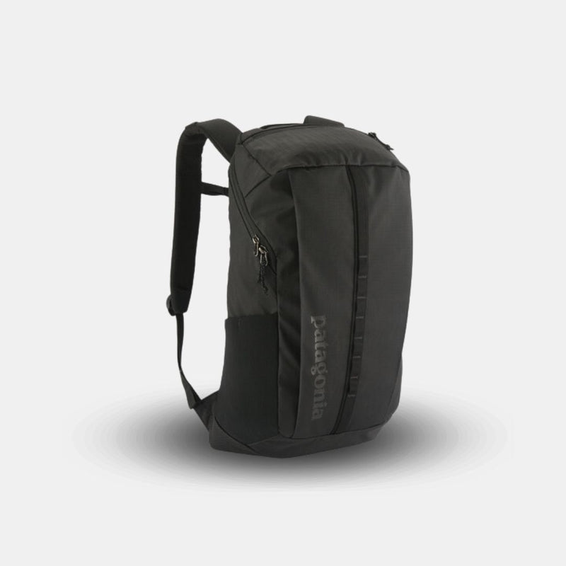 Patagonia Black Hole Pack Black